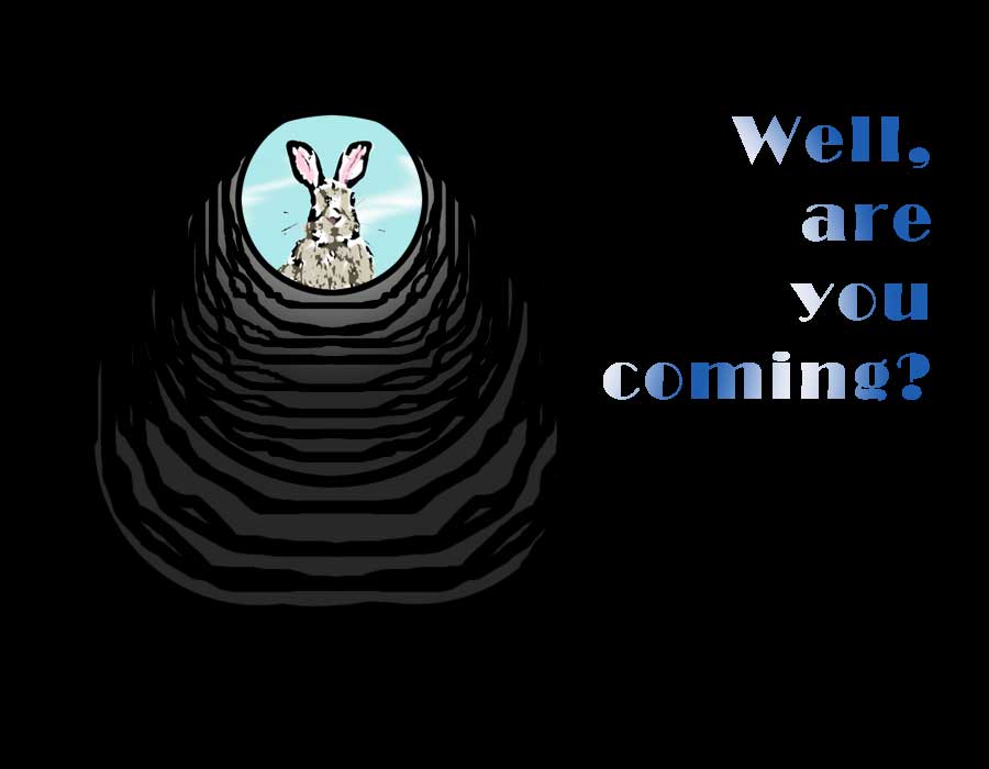 Rabbit hole